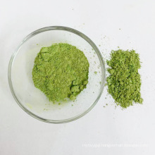 Best price health care products barley grass juice powder for hot sale